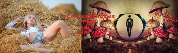 прущая мука Лихославль