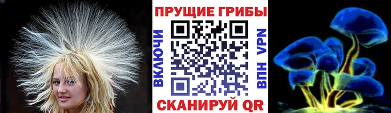 Купить  Агрыз  Галлюциногенные грибы MAGIC MUSHROOMS 